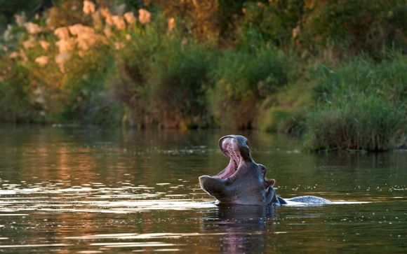 Your optional excursions