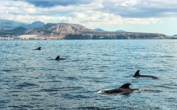 Your included excursions 