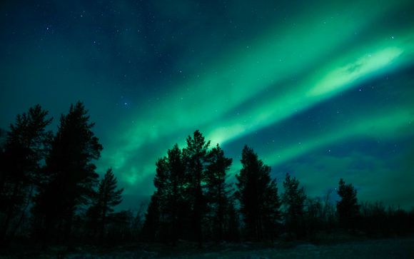 Northern Lights hunting