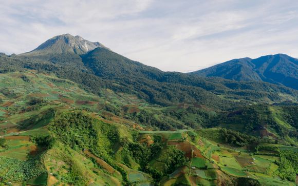 Optional extras & excursions 