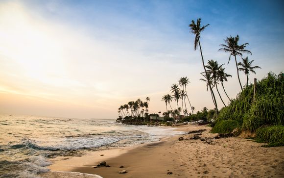 Your itinerary in detail