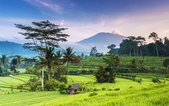 Welcome to Indonesia