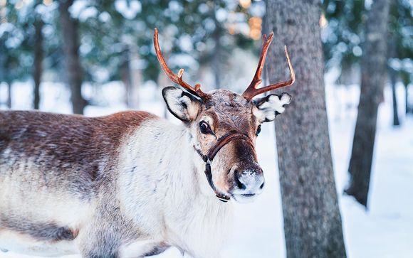 Your included excursions