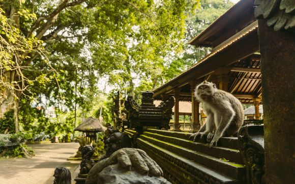 Welcome to Indonesia