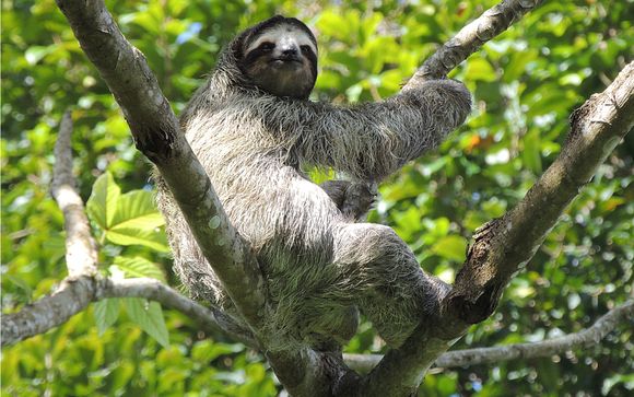 Your stay at a glance