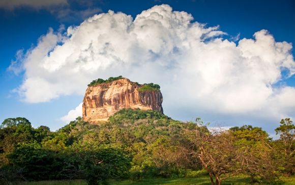 Your optional excursions & extras