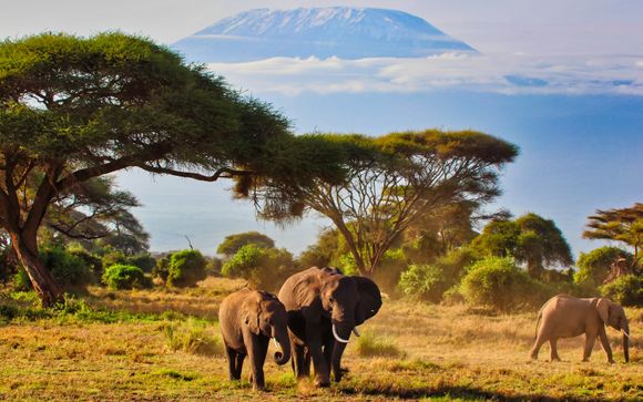 Welcome to Kenya & Zanzibar