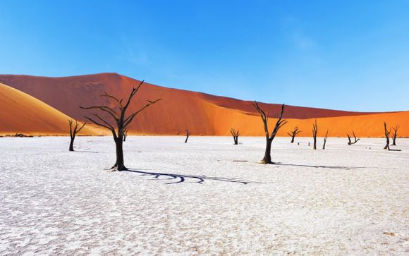 Your itinerary in brief