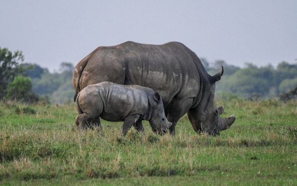 Your optional excursions