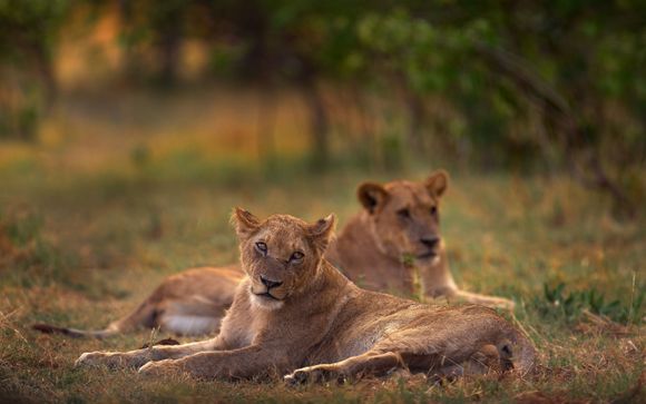 Your itinerary in detail