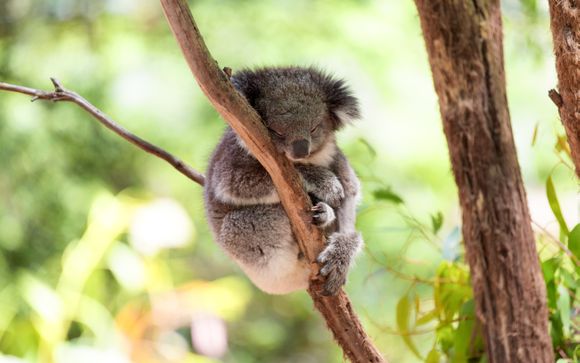 Your itinerary in brief