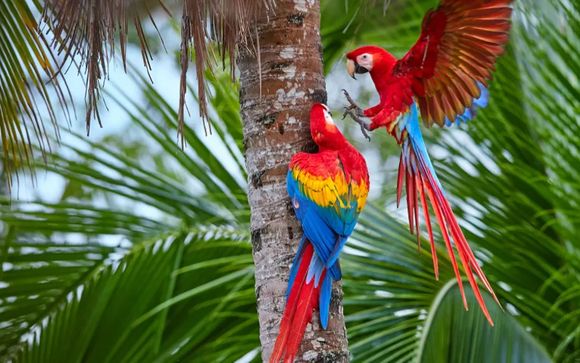 Your itinerary in detail