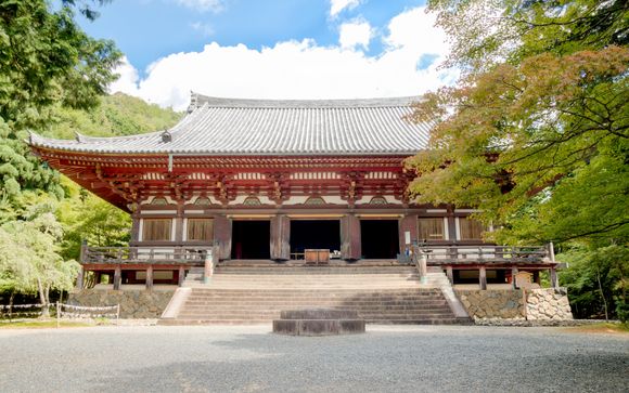 Your optional excursions & extras