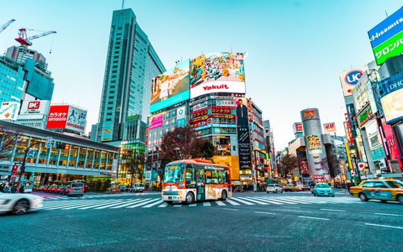 Your itinerary in detail