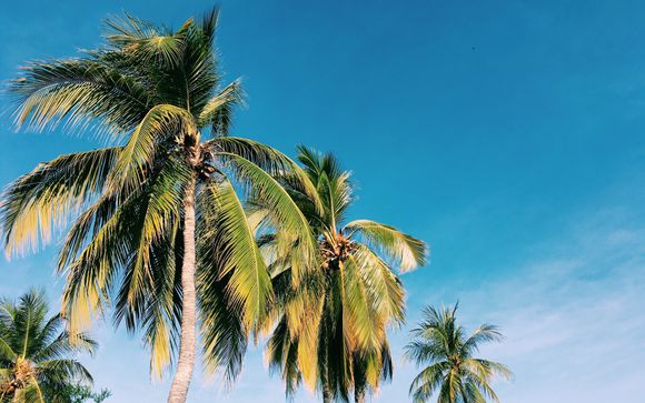 Your itinerary in brief