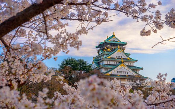 Your itinerary in detail