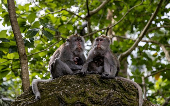 Welcome to Indonesia