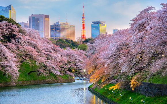 Your itinerary in detail