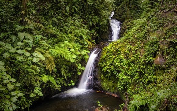 Your optional excursions & extras