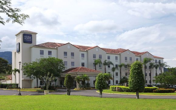 Your hotels