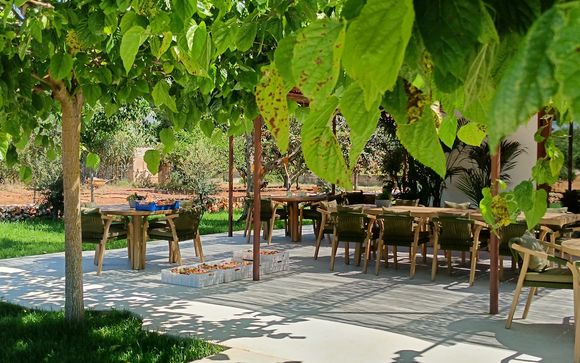 Culinary discovery with excursions in Majorca