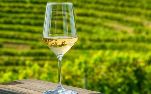 Wine tasting and winery visit in Majorca