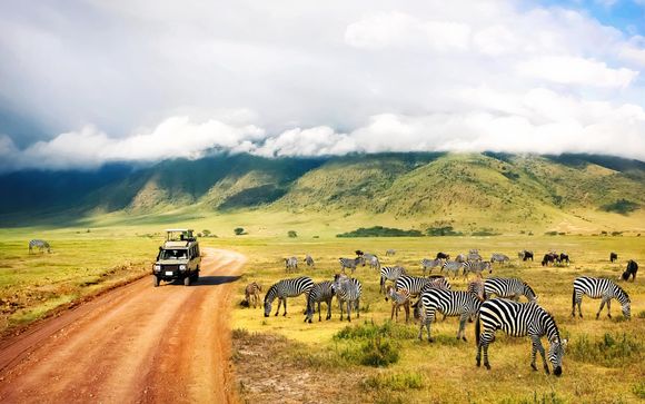 Your 4-Night Safari Itinerary In Brief