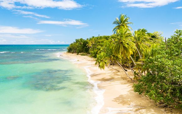 Your Itinerary In Detail