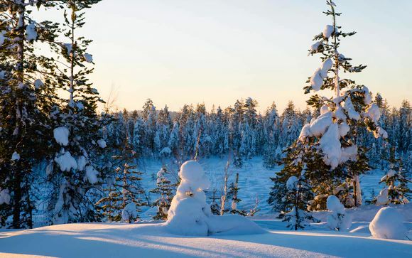 Arctic Circle Wilderness Resort (Offer 1 & 2)