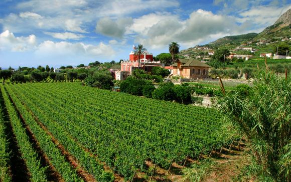 Your Itinerary in Detail