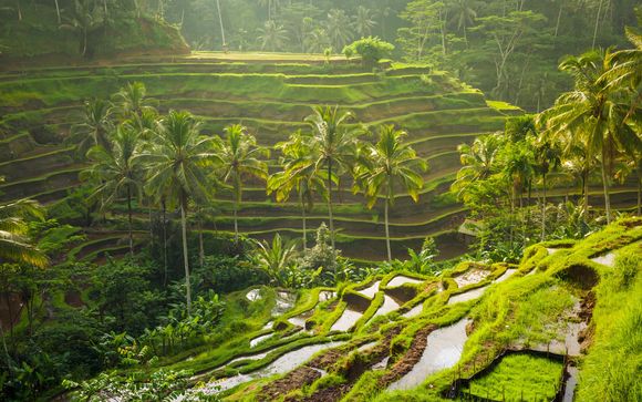 Your Itinerary In Detail