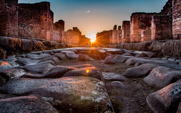 Your Optional Excursions