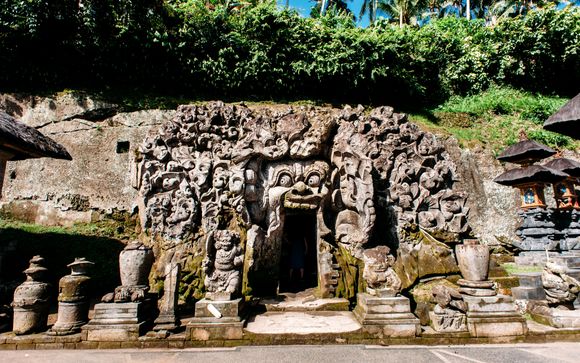 Your Optional Excursions