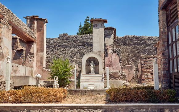 Your Included Excursions 