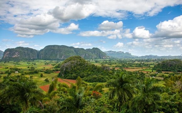 Your Optional Excursions