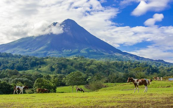 Your Itinerary In Brief