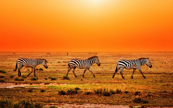 5-Night Safari in Tanzania & SBH Klindini 5*