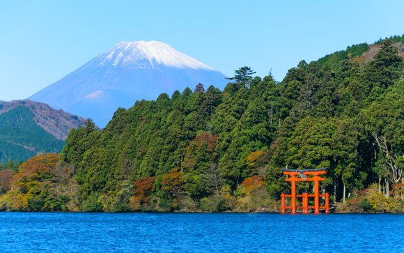 Your itinerary in detail