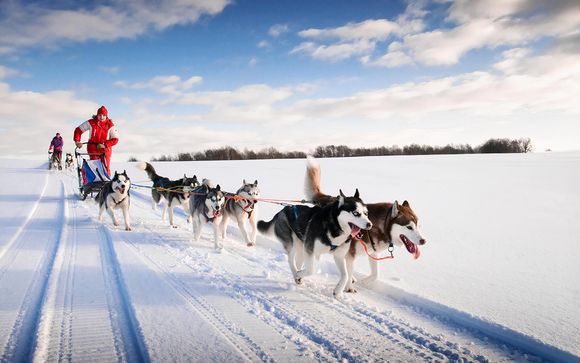 Your Optional Services