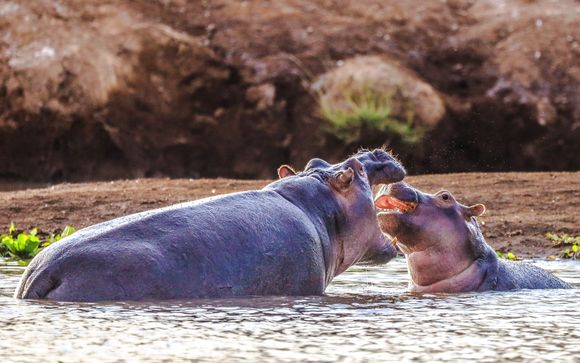 Your Itinerary in Detail