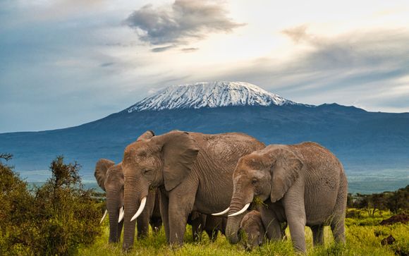 Your Itinerary in Brief