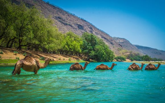 Visit Oman