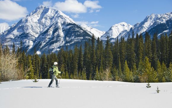 Your Optional Excursions