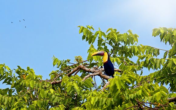 Your itinerary in detail