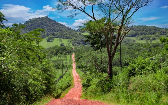 Your Itinerary In Brief