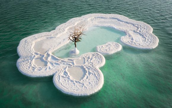 Your Itinerary In Detail