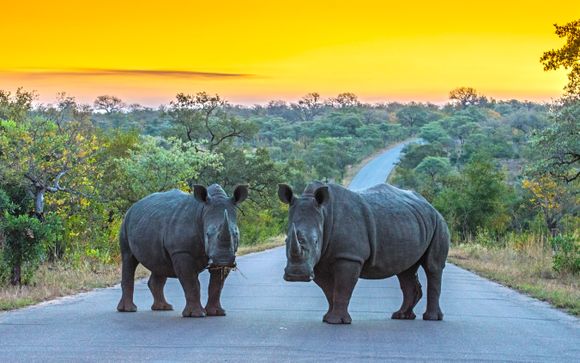 Your Optional Excursions