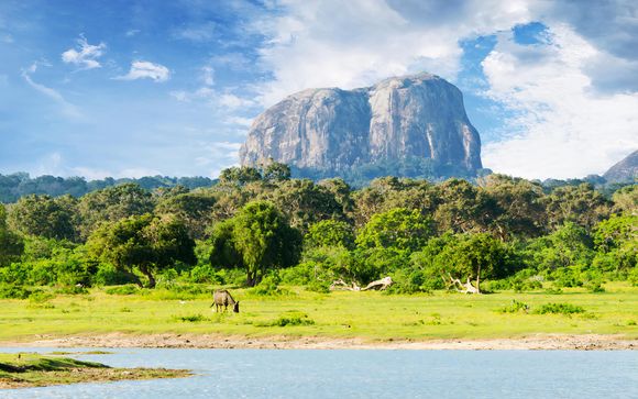 Your itinerary in detail