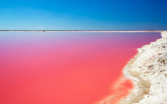 Your itinerary in detail