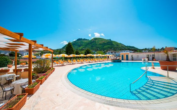 Your Hotels